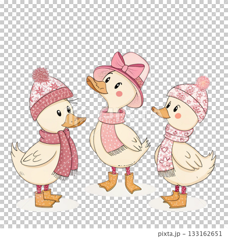 Three cute ducks in autumn outfits white background  133162651