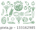 野菜　線画イラスト　アイコンセット　ベクター 133162985
