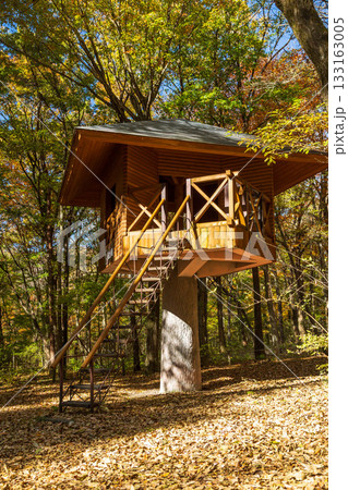 秋の赤城自然園　森の遊び場　樹上小屋 133163005