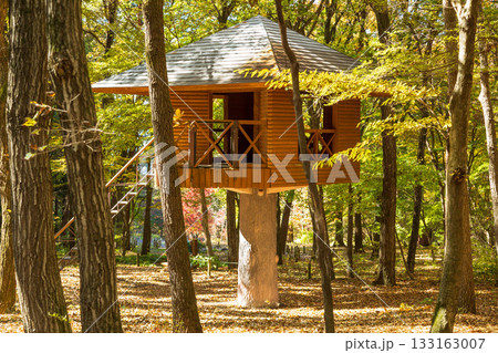 秋の赤城自然園　森の遊び場　樹上小屋 133163007