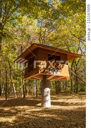 秋の赤城自然園　森の遊び場　樹上小屋 133163009