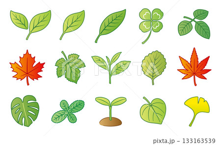 葉っぱ 葉 アイコン イラストセット 葉っぱ 葉 アイコン イラストセット 133163539