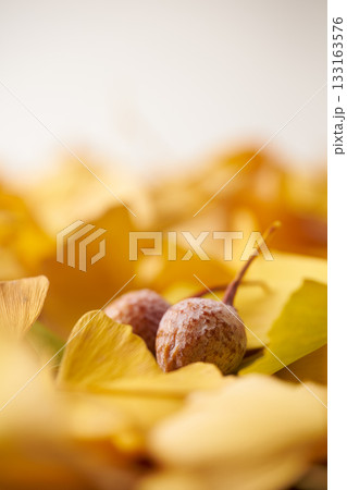 黄色いイチョウの葉 黄色いイチョウの葉 133163576