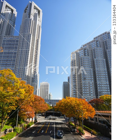 紅葉する木々と高層ビル群 紅葉する木々と高層ビル群 133164404