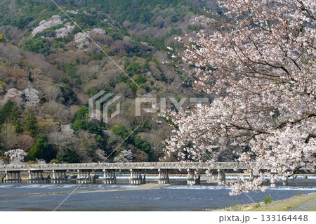 春の渡月橋と大堰川 133164448