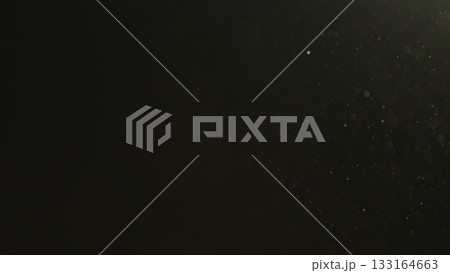 real dust particles floating in the air indoor with natural sun light real dust particles floating in the air indoor with natural sun light 133164663