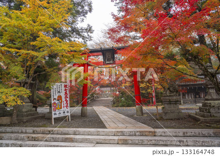 鍬山神社　美しい紅葉 133164748