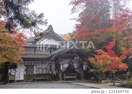 鍬山神社 美しい紅葉 鍬山神社 美しい紅葉 133164750