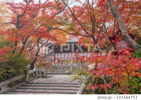 鍬山神社　美しい紅葉　 133164751