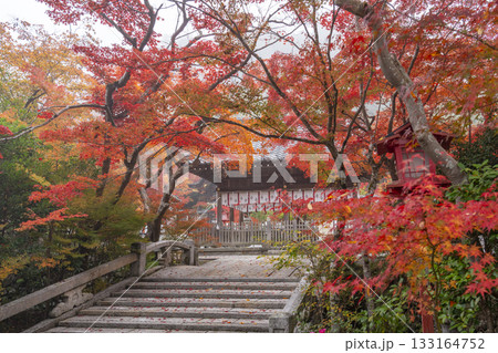 鍬山神社　美しい紅葉 133164752