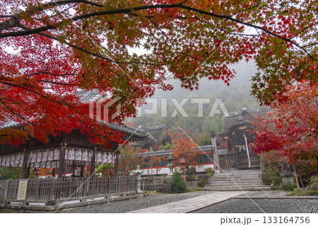 鍬山神社 美しい紅葉 拝殿と本殿 鍬山神社 美しい紅葉 拝殿と本殿 133164756
