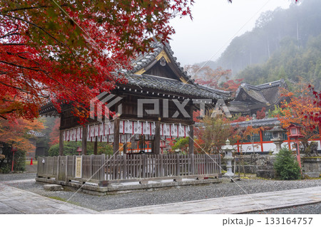 鍬山神社　美しい紅葉　拝殿と本殿 133164757