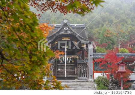 鍬山神社 美しい紅葉 本殿 鍬山神社 美しい紅葉 本殿 133164759