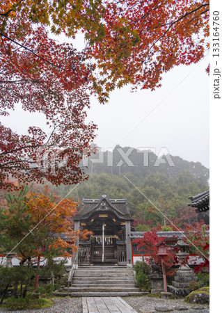 鍬山神社　美しい紅葉　本殿（鍬山宮） 133164760