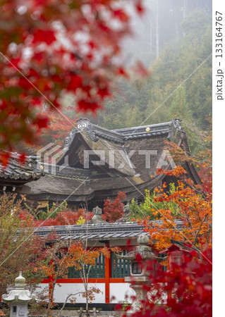 鍬山神社　美しい紅葉　本殿（鍬山宮） 133164767