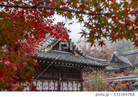 鍬山神社　美しい紅葉　本殿（鍬山宮） 133164768