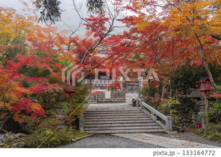 鍬山神社 美しい紅葉 拝殿と橋 鍬山神社 美しい紅葉 拝殿と橋 133164772