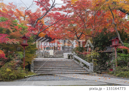 鍬山神社　美しい紅葉　拝殿と橋 133164773