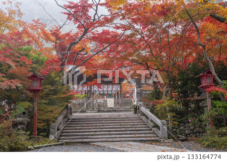 鍬山神社　美しい紅葉　拝殿と橋 133164774