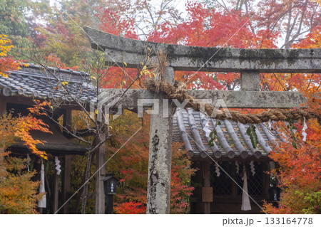 鍬山神社　美しい紅葉　天満宮　愛宕神社 133164778