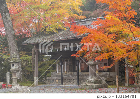 鍬山神社　美しい紅葉　摂末社 133164781