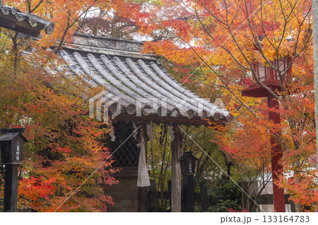 鍬山神社　美しい紅葉　摂末社 133164783