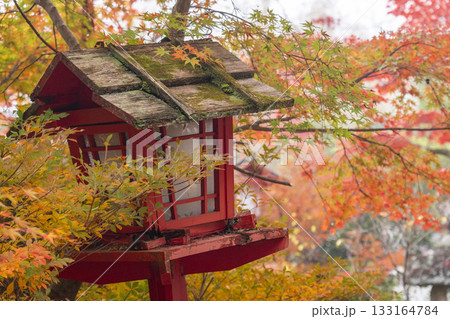 鍬山神社　美しい紅葉　庭園 133164784