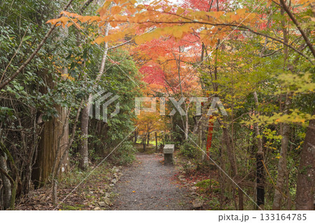 鍬山神社　美しい紅葉　庭園 133164785