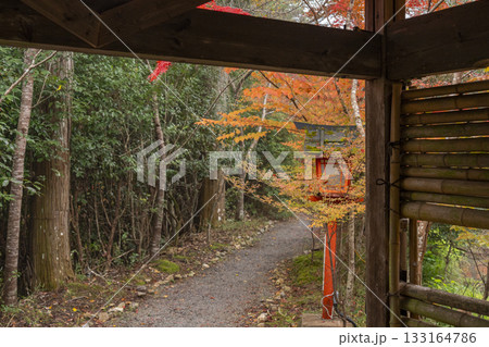 鍬山神社　美しい紅葉　庭園 133164786
