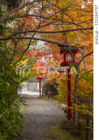 鍬山神社 美しい紅葉 庭園 鍬山神社 美しい紅葉 庭園 133164787