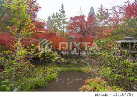 鍬山神社　美しい紅葉　庭園 133164788