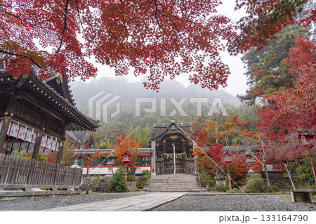 鍬山神社　美しい紅葉に包まれた拝殿と本殿 133164790