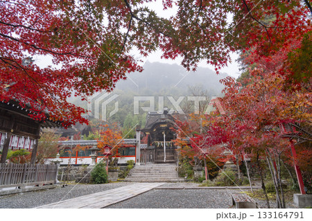 鍬山神社　美しい紅葉に包まれた拝殿と本殿 133164791
