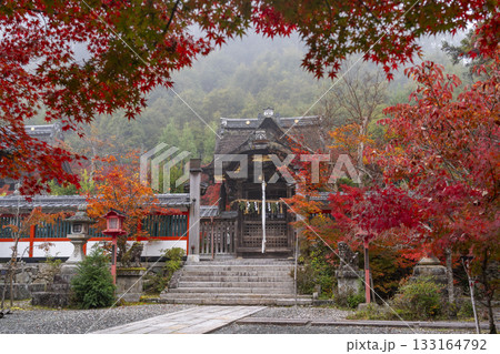 鍬山神社　美しい紅葉に包まれた拝殿と本殿 133164792