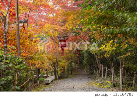 鍬山神社 美しい紅葉 庭園 鍬山神社 美しい紅葉 庭園 133164793