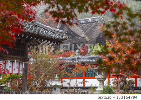 鍬山神社　美しい紅葉　本殿（鍬山宮） 133164794