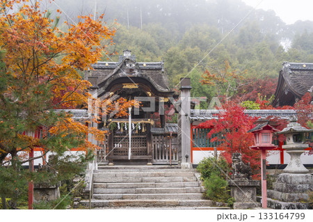 鍬山神社 美しい紅葉 本殿(鍬山宮) 鍬山神社 美しい紅葉 本殿(鍬山宮) 133164799