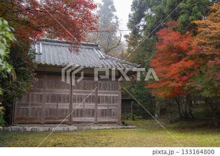 鍬山神社　美しい紅葉　神輿庫 133164800