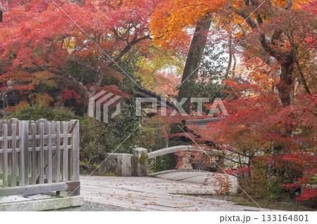 鍬山神社　美しい紅葉　石橋 133164801