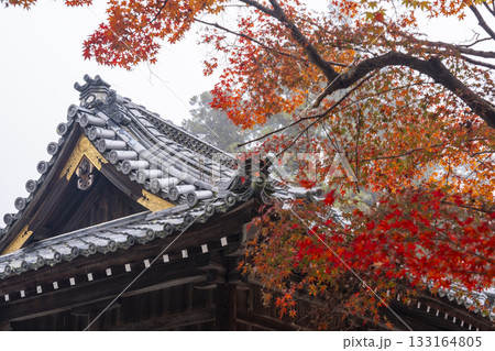 鍬山神社　美しい紅葉　拝殿 133164805