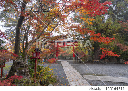 鍬山神社　美しい紅葉　鳥居 133164811