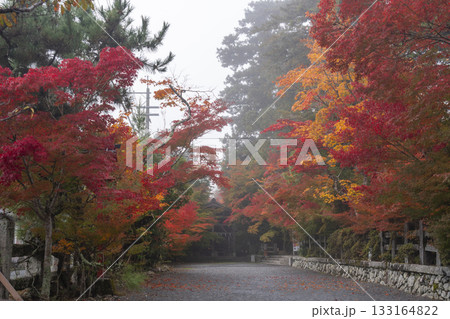 鍬山神社　美しい紅葉　絵馬掛堂 133164822