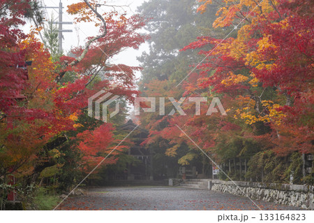 鍬山神社　美しい紅葉 133164823