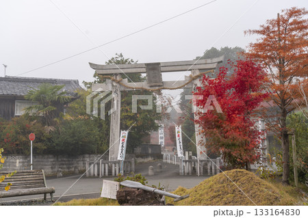 鍬山神社　美しい紅葉　石造鳥居 133164830