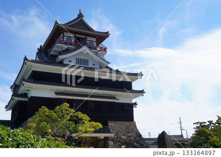 庭園から見える清州城天守閣 庭園から見える清州城天守閣 133164897