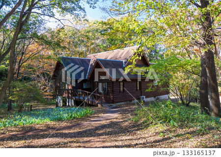 秋の赤城自然園 昆虫館 秋の赤城自然園 昆虫館 133165137