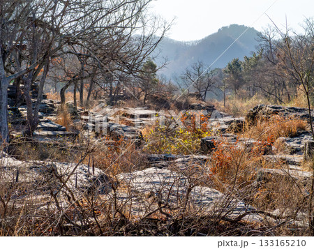 広がる岩畳 広がる岩畳 133165210