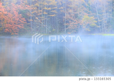 霧と雨の御射鹿池 133165305