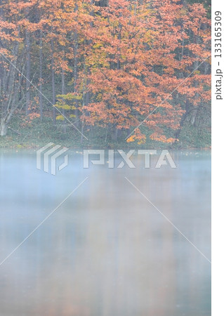 霧と雨の御射鹿池 133165309