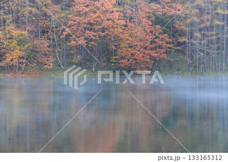 霧と雨の御射鹿池 133165312